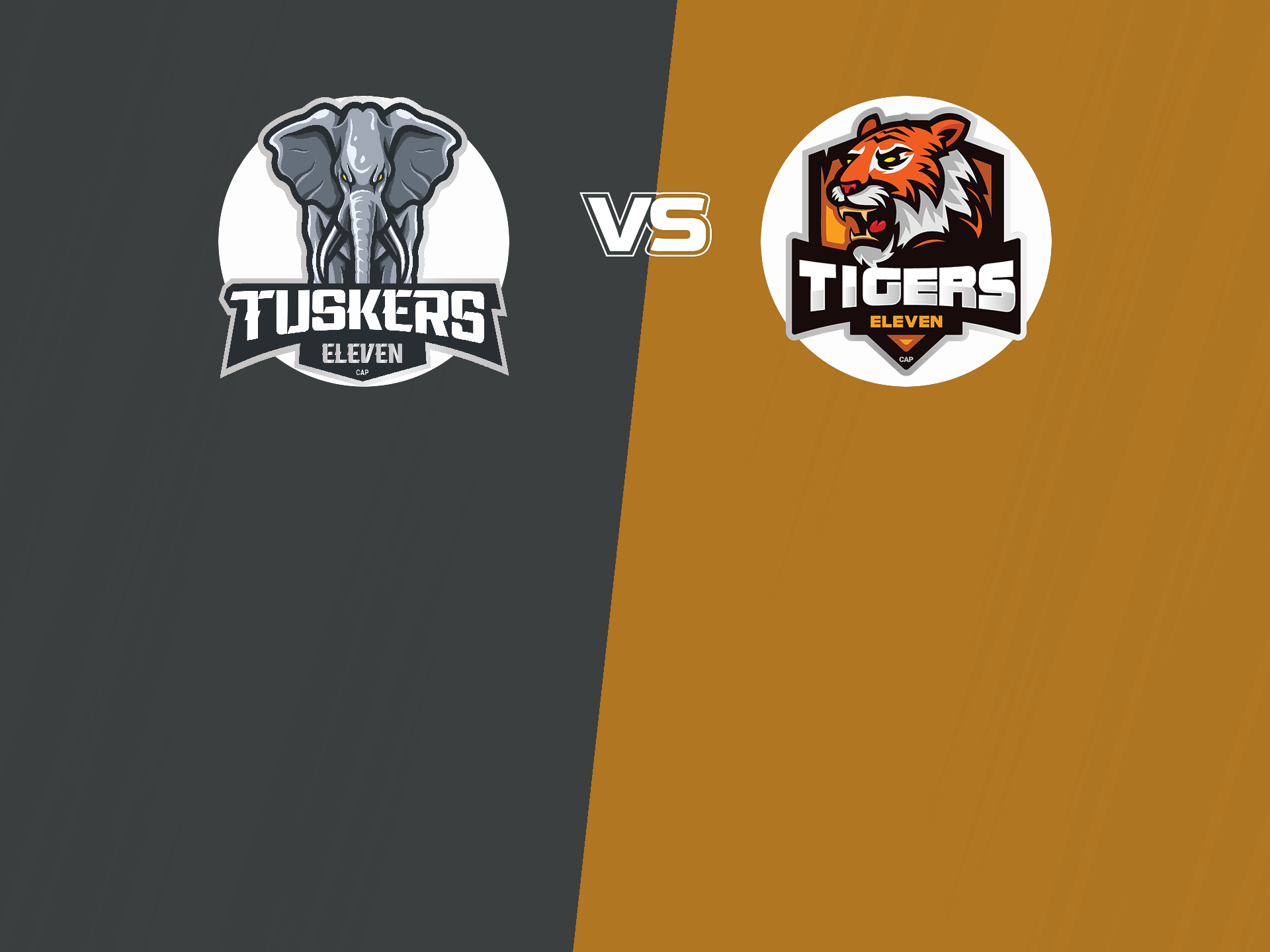 Final of siechem pondicherry mens t20 tournament 2024: tuskers xi vs tigers xi banner