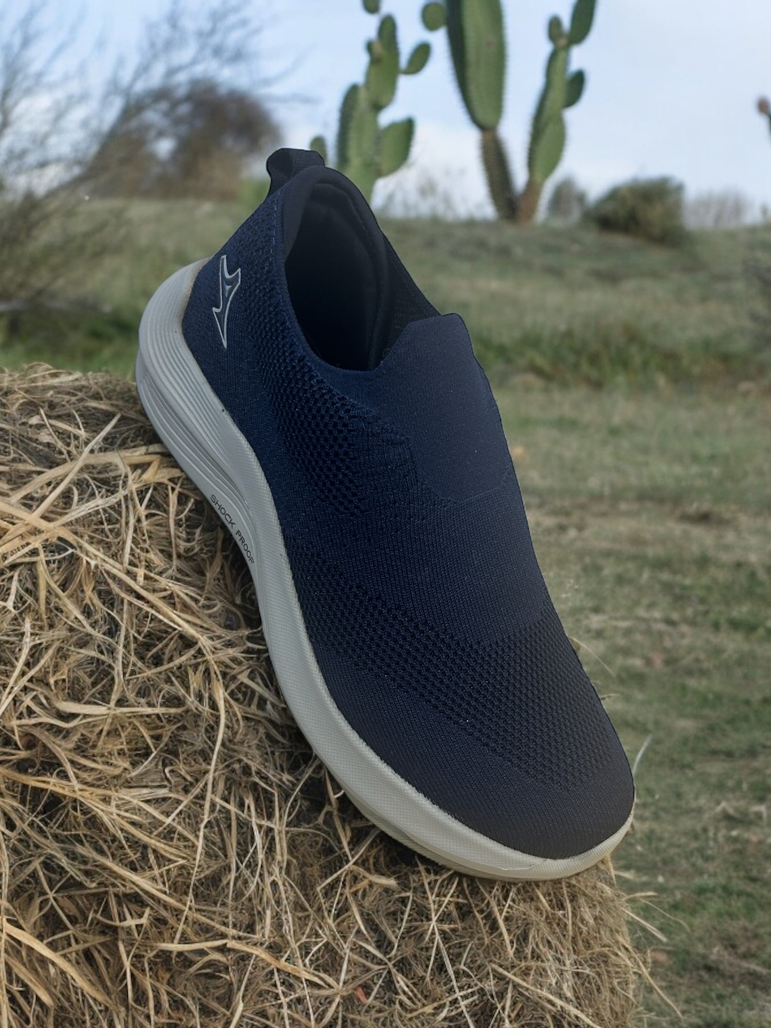 Abros Men Navy Blue and Grey Classic Slip-On Running Shoes (4)