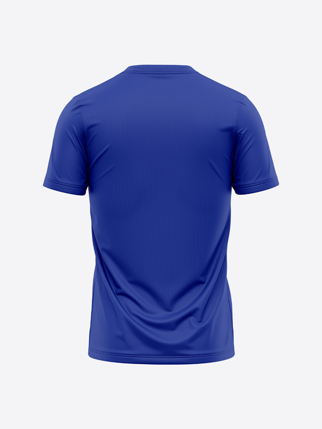 Afghanistan ICC Men's T20 WC-24 Blue Logo Printed Half Sleeves Round Neck Polyester T-Shirt (2)