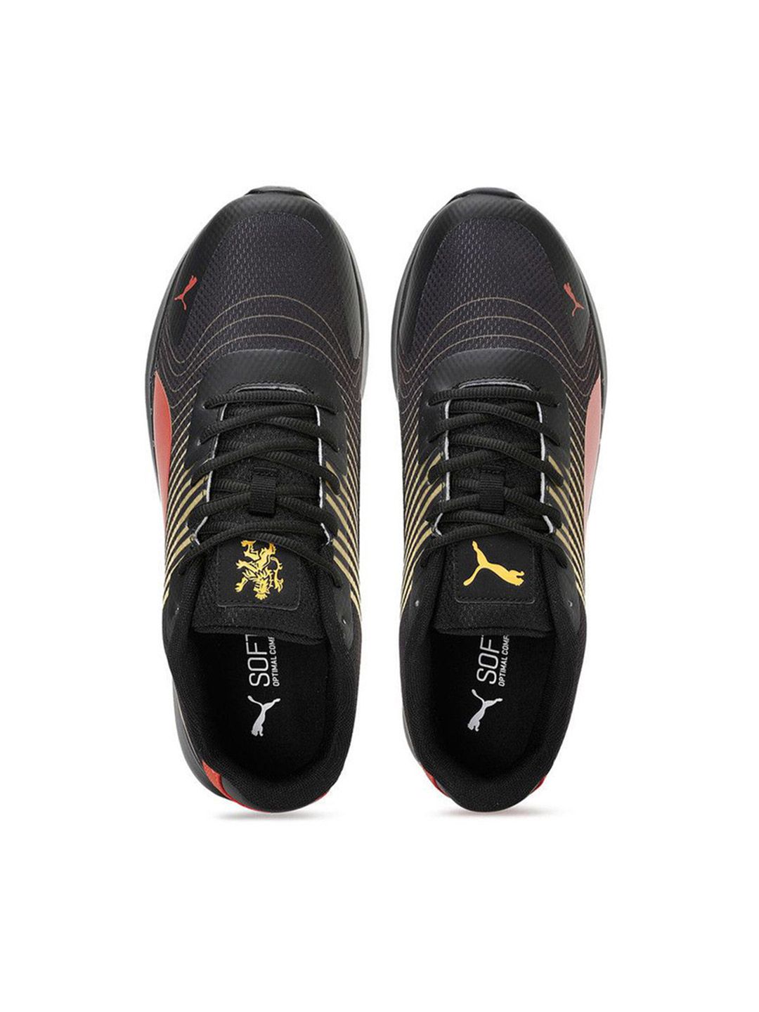 Buy Royal Challengers Bangalore Royal Challengers Bangalore Puma x RCB ...