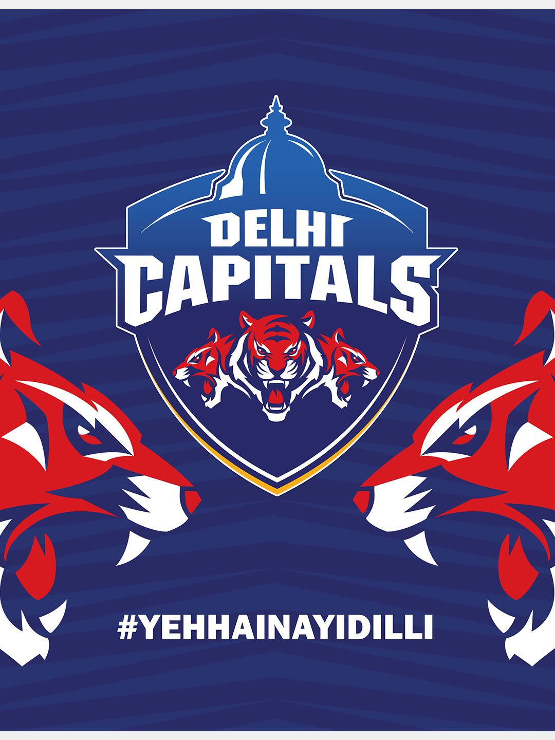 Delhi Capitals Delhi Capitals - Sqaure Cushions (Pack of - 2) (11)