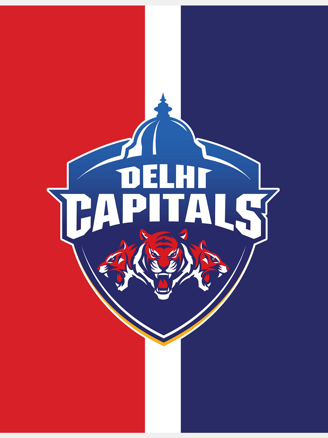 Delhi Capitals Delhi Capitals - Sqaure Cushions (Pack of - 2) (12)