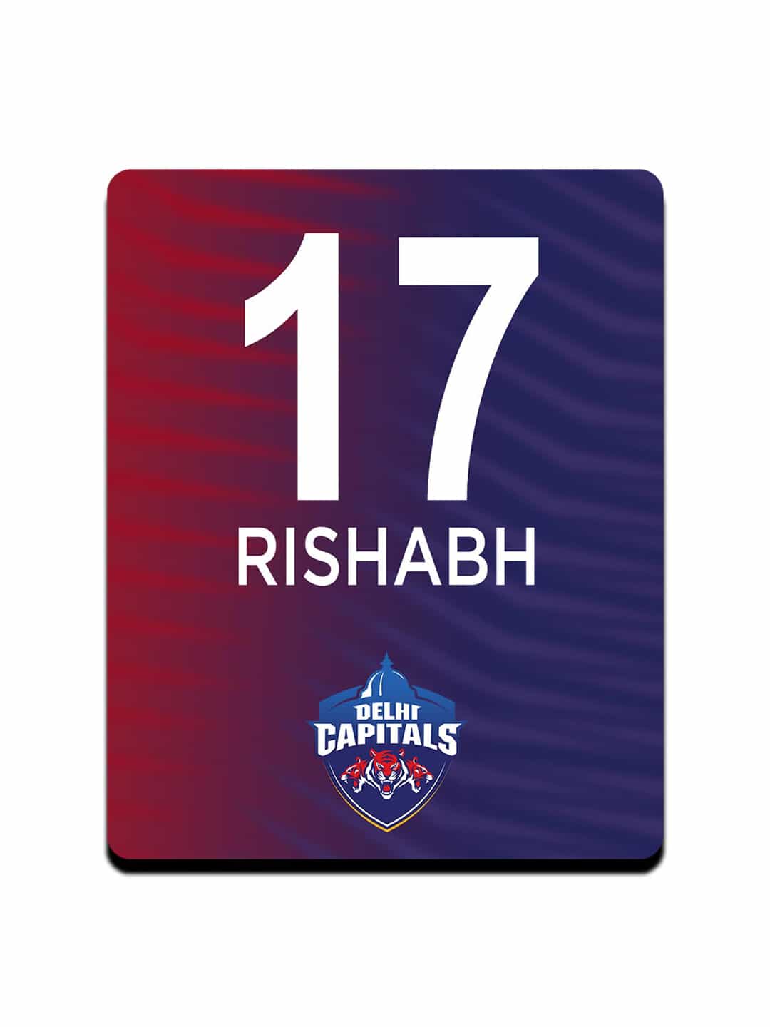 Delhi Capitals Gear Up - Fridge Magnets (1)