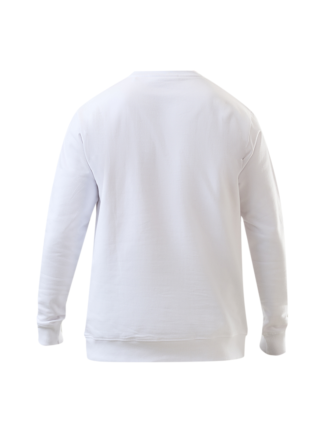 Delhi Capitals Men White Logo Printed Full Sleeves Cotton Sweatshirt (8)