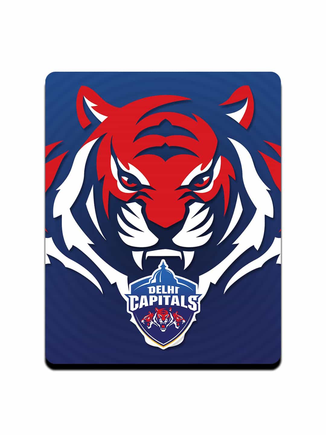 Delhi Capitals Wild - Fridge Magnets (1)