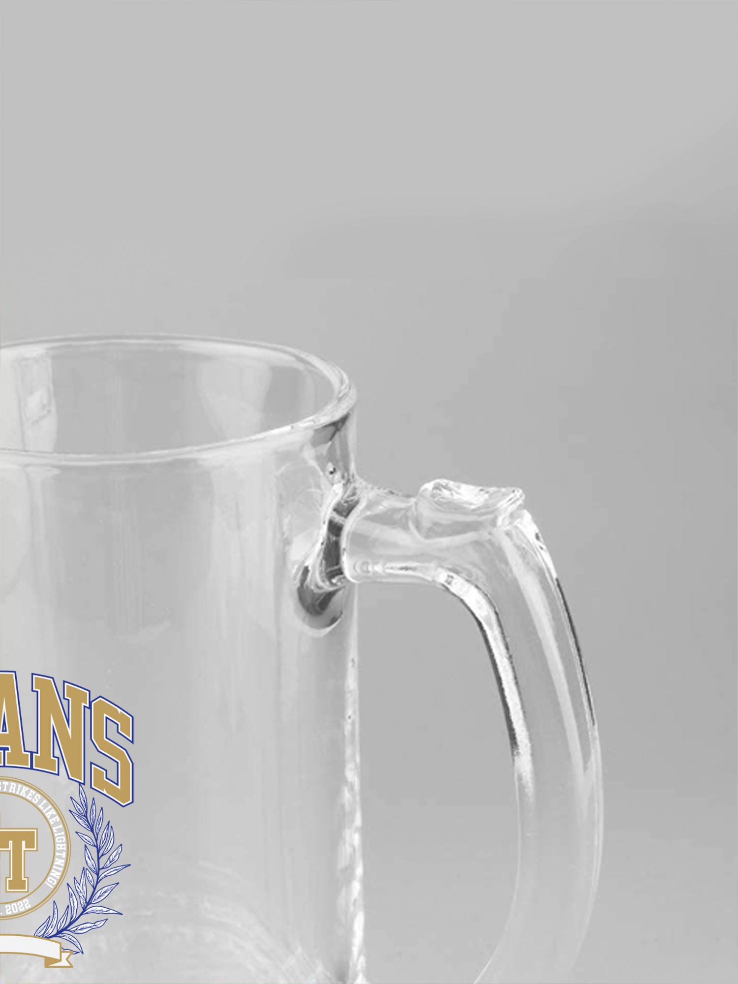 Gujarat Titans Titans Fan Collectible Glass Mug - 500 ML (4)