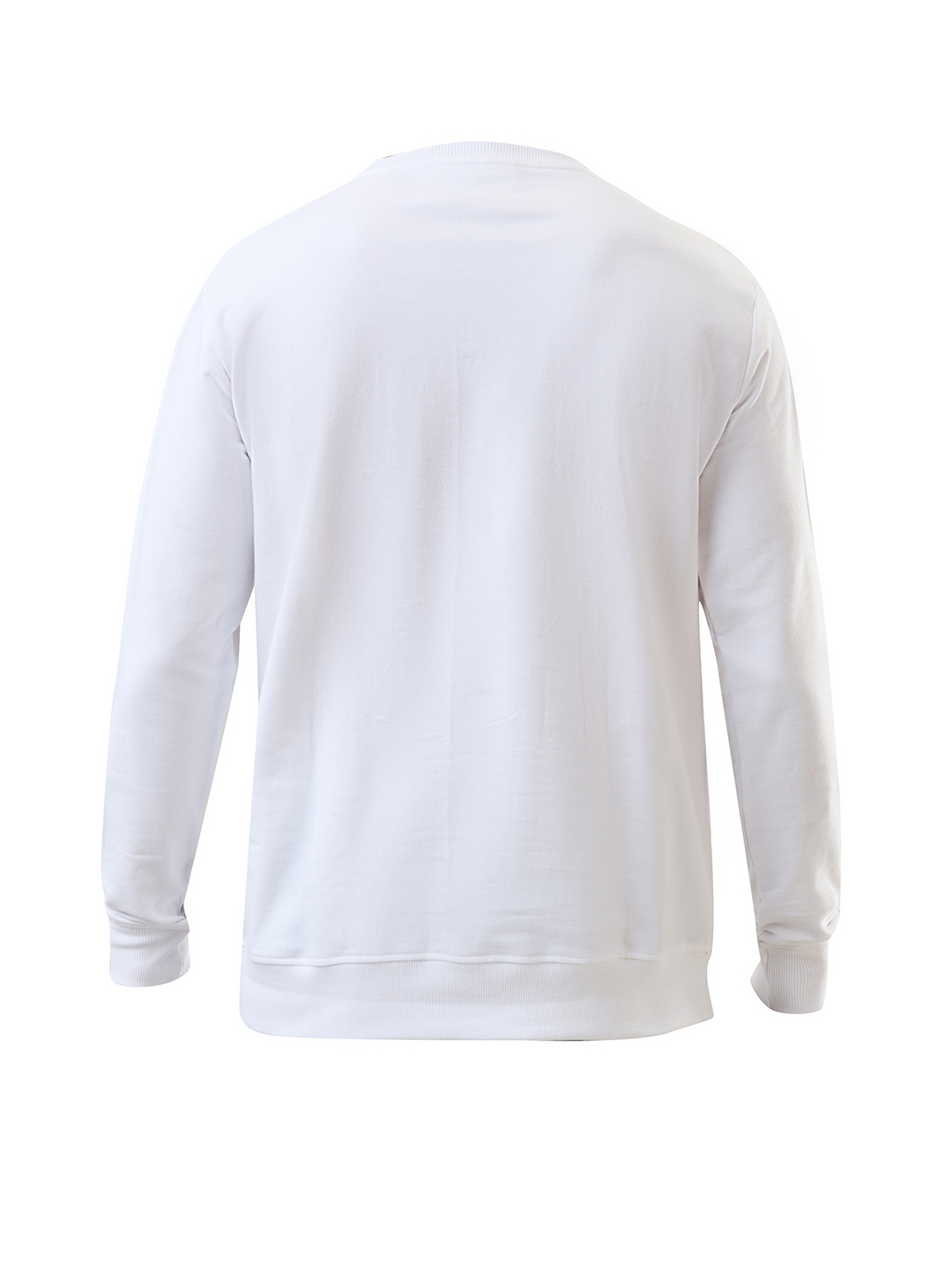 Gujarat Titans Men White Logo Printed Full Sleeves Round Neck Cotton Sweatshirt  (9)
