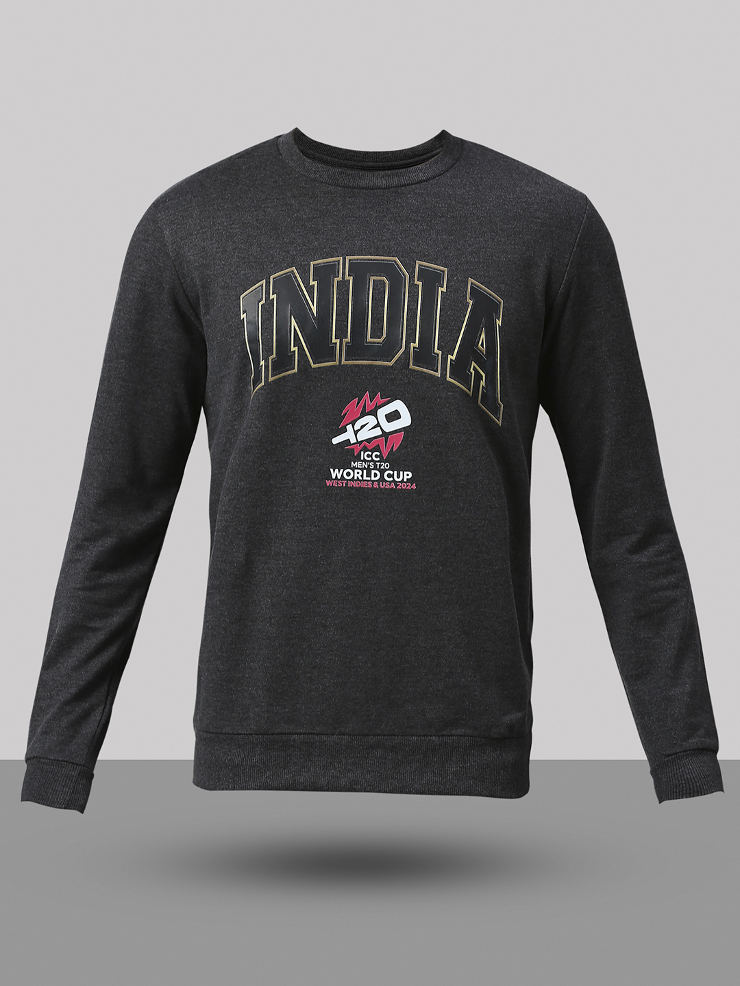 India ICC Men's T20 WC-24 Anthra Melange Logo Printed Full Sleeves Round Neck Sweatshirt (9)