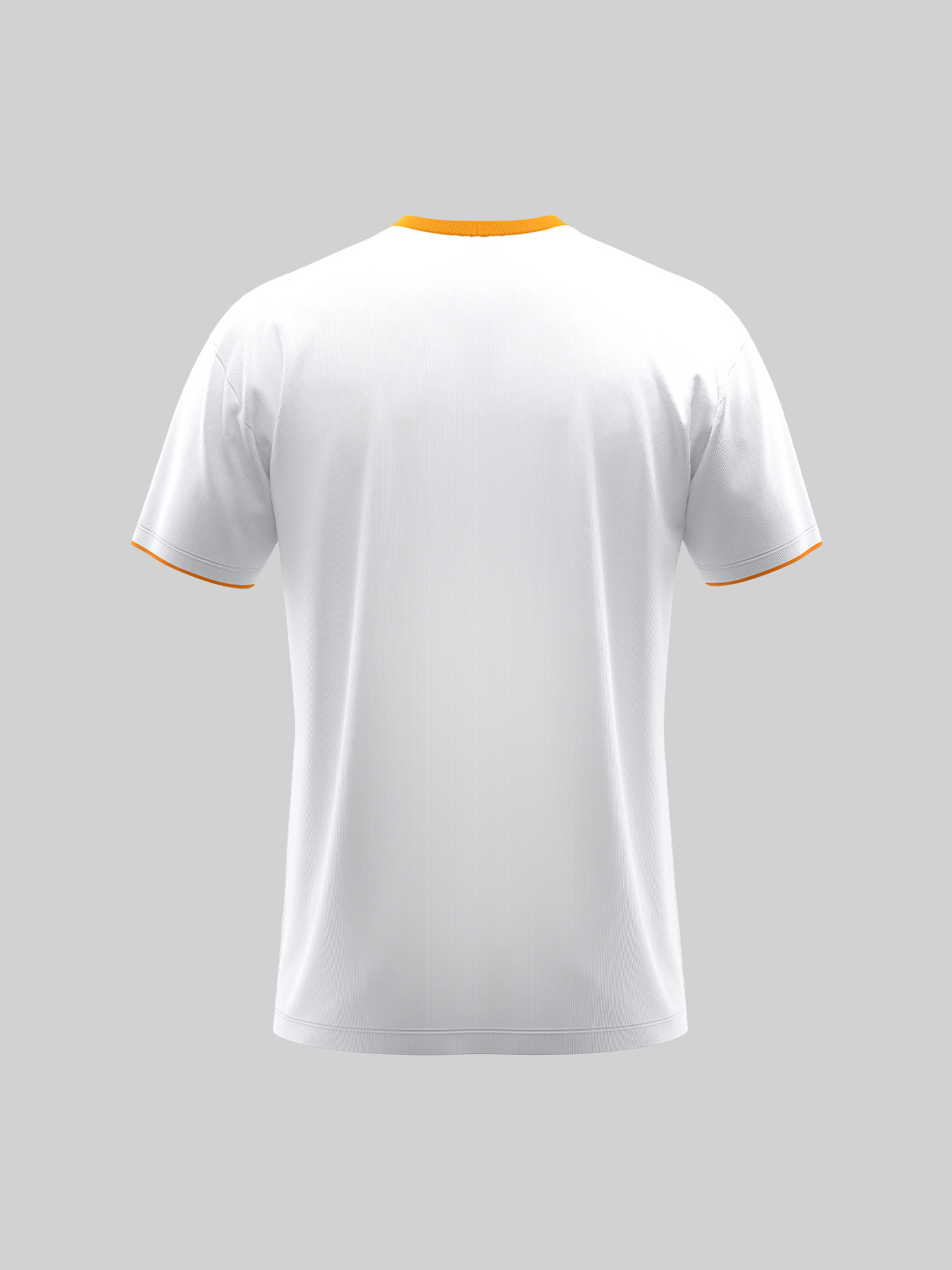 India T20 World Cup Champions Half Sleeves White Printed Cotton T-Shirt (2)