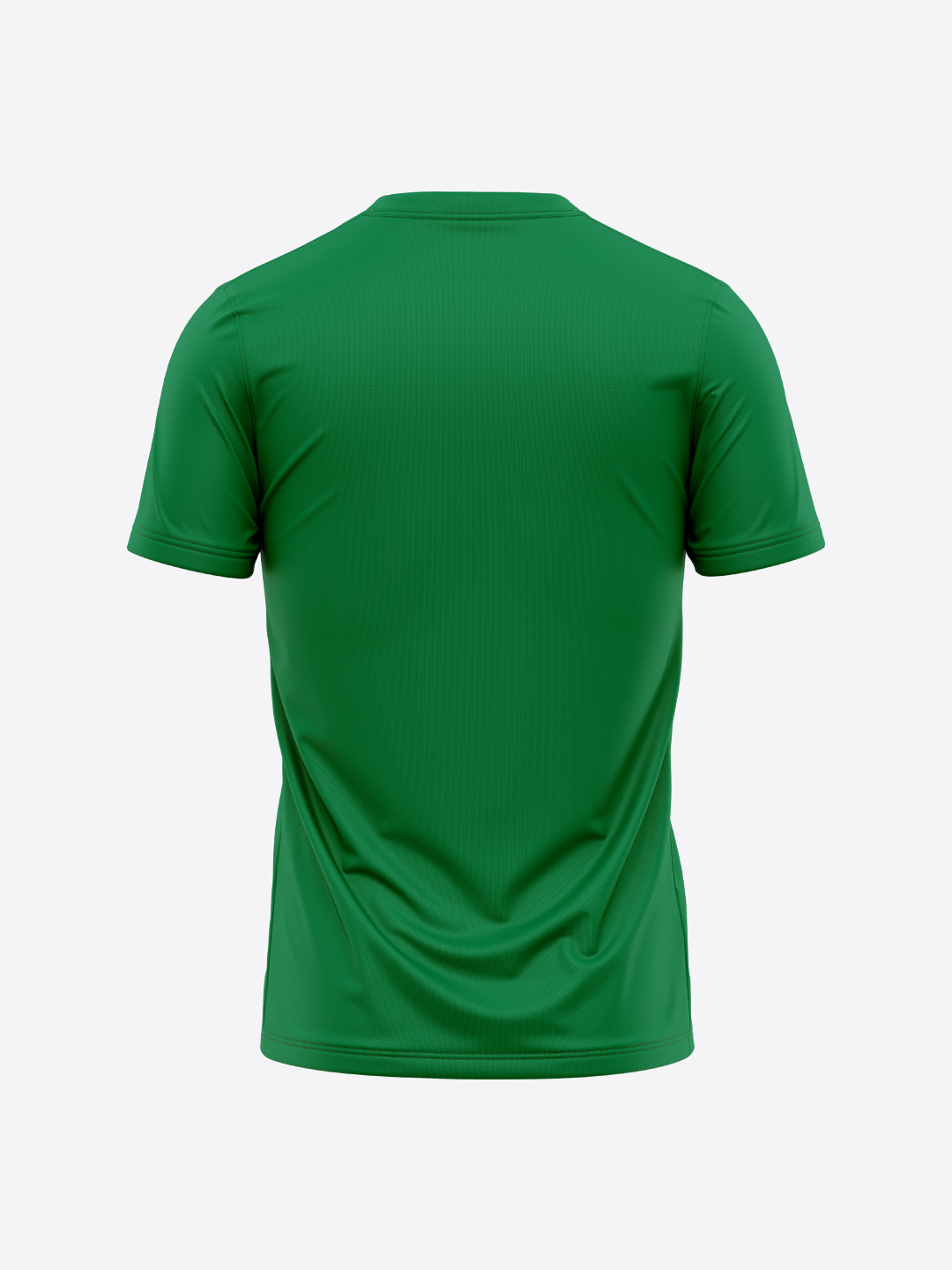Ireland ICC Men's T20 WC-24 Green Logo Printed Half Sleeves Round Neck Polyester T-Shirt (2)