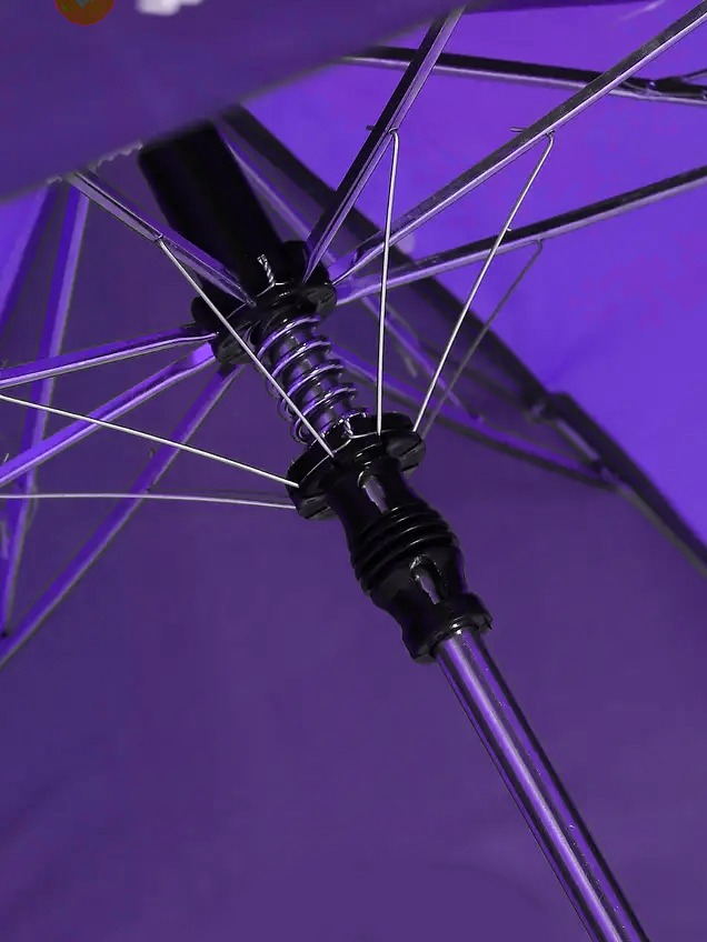 Kolkata Knight Riders 21 Inch 2-Fold Automatic Umbrella for Men and Women - (Purple/Yellow) (4)