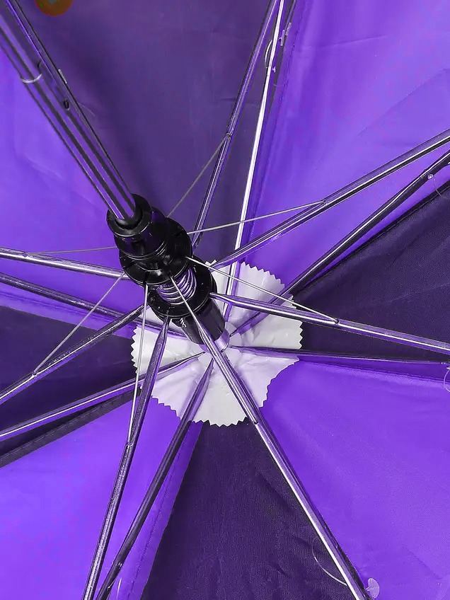 Kolkata Knight Riders 21 Inch 2-Fold Automatic Umbrella for Men and Women - (Purple/Yellow) (5)