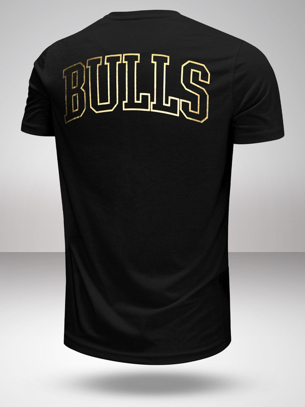 NBA - Chicago Bulls Men Black Solid Round Neck T-Shirts (2)