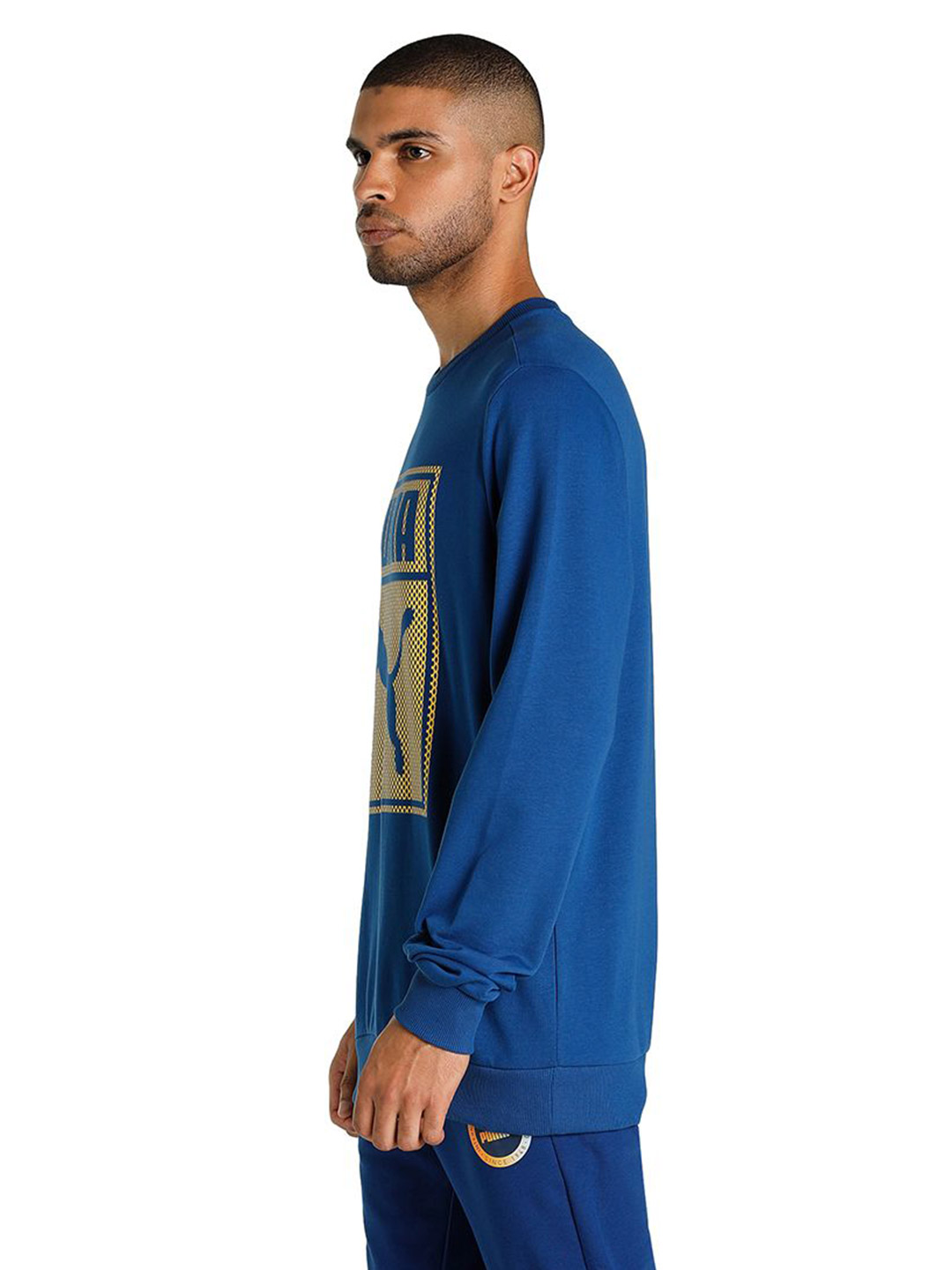 Puma Men Blazing Blue Printed PUMA Graphic Crew Sweat Shirt (2)