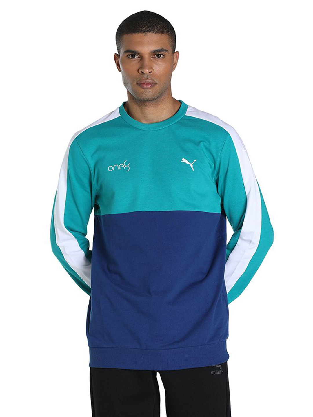 Puma Men Blazing Blue Printed PUMAxONE8 Color Block Crew Sweatshirts (1)