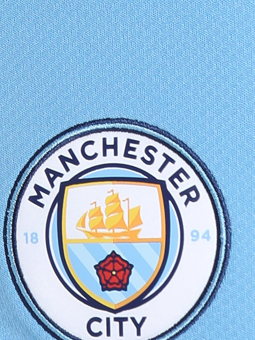 Puma Men Blue Manchester City F.C. Replica Shorts (5)