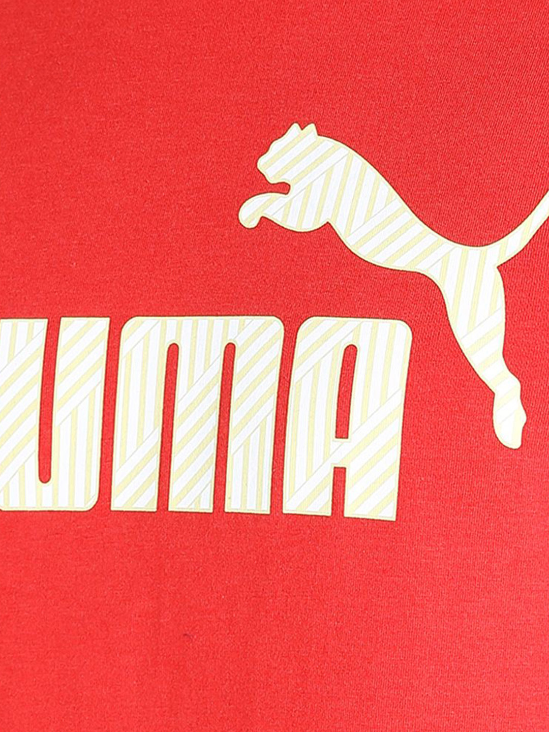 Puma Men Burnt Red Printed N1 Logo T-Shirt (6)