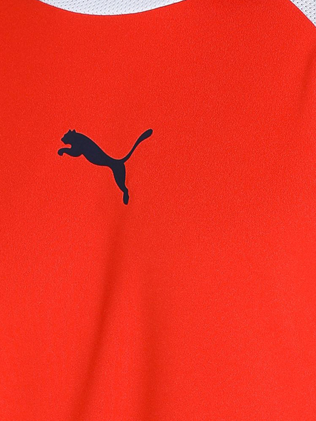 Puma Men Cherry Tomato Printed teamLIGA T-Shirt (6)