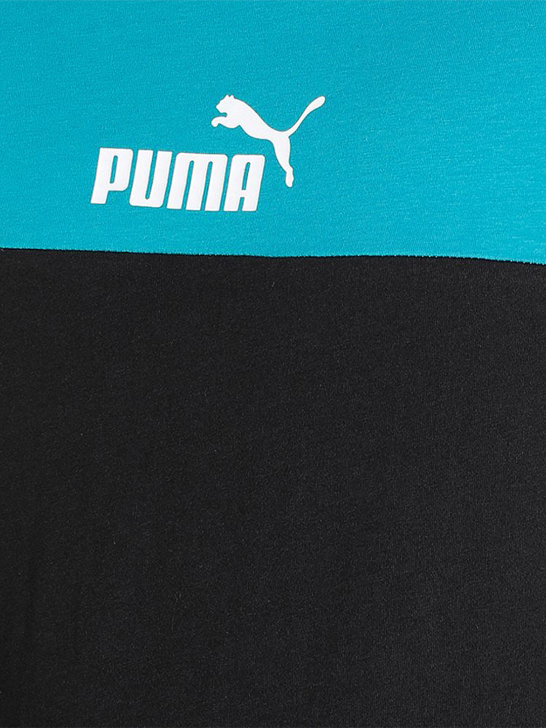 Puma Men Deep Aqua Printed Essentials+ Block T-shirt (6)