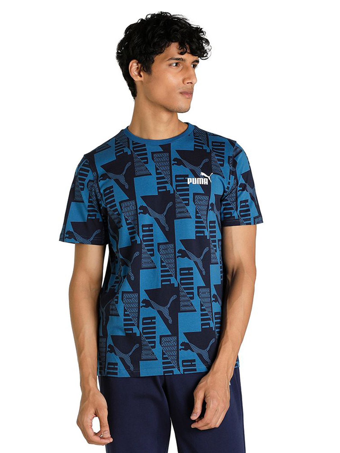 Puma Men Lake Blue Printed Power Printed T-Shirt (1)