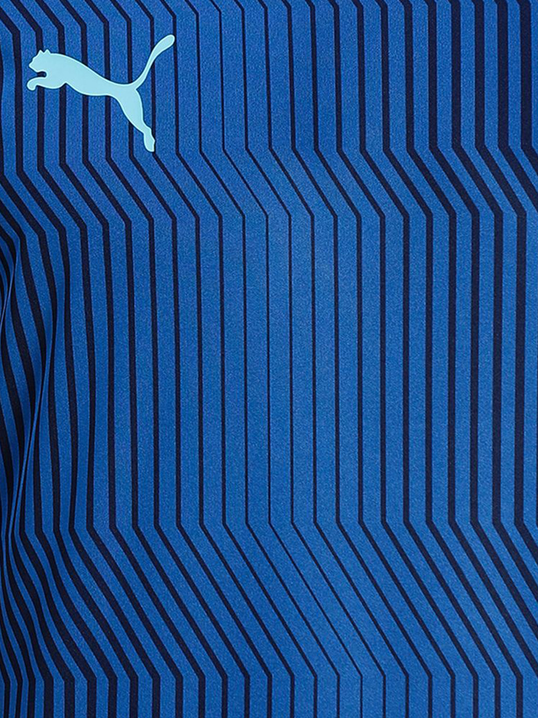 Puma Men Limoges-Peacoat-Blue Atoll Printed teamCUP Training Football Jersey (6)