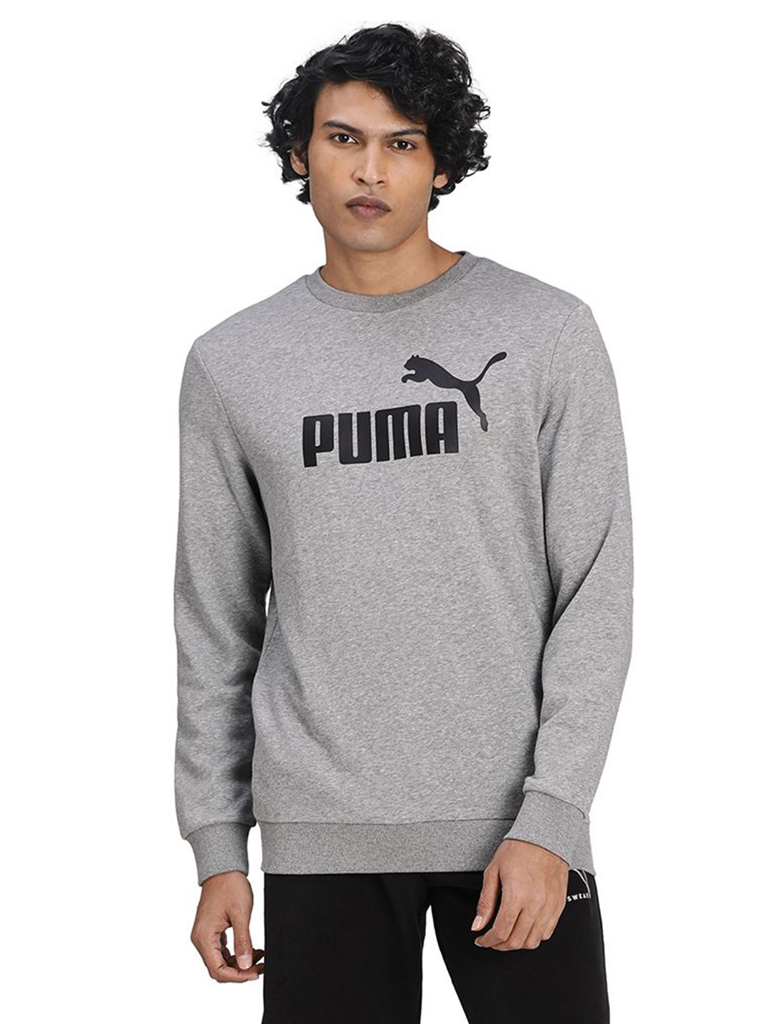 Puma Men Medium Gray Heather Printed Essentials Big Logo Crew Sweat Shirt (1)