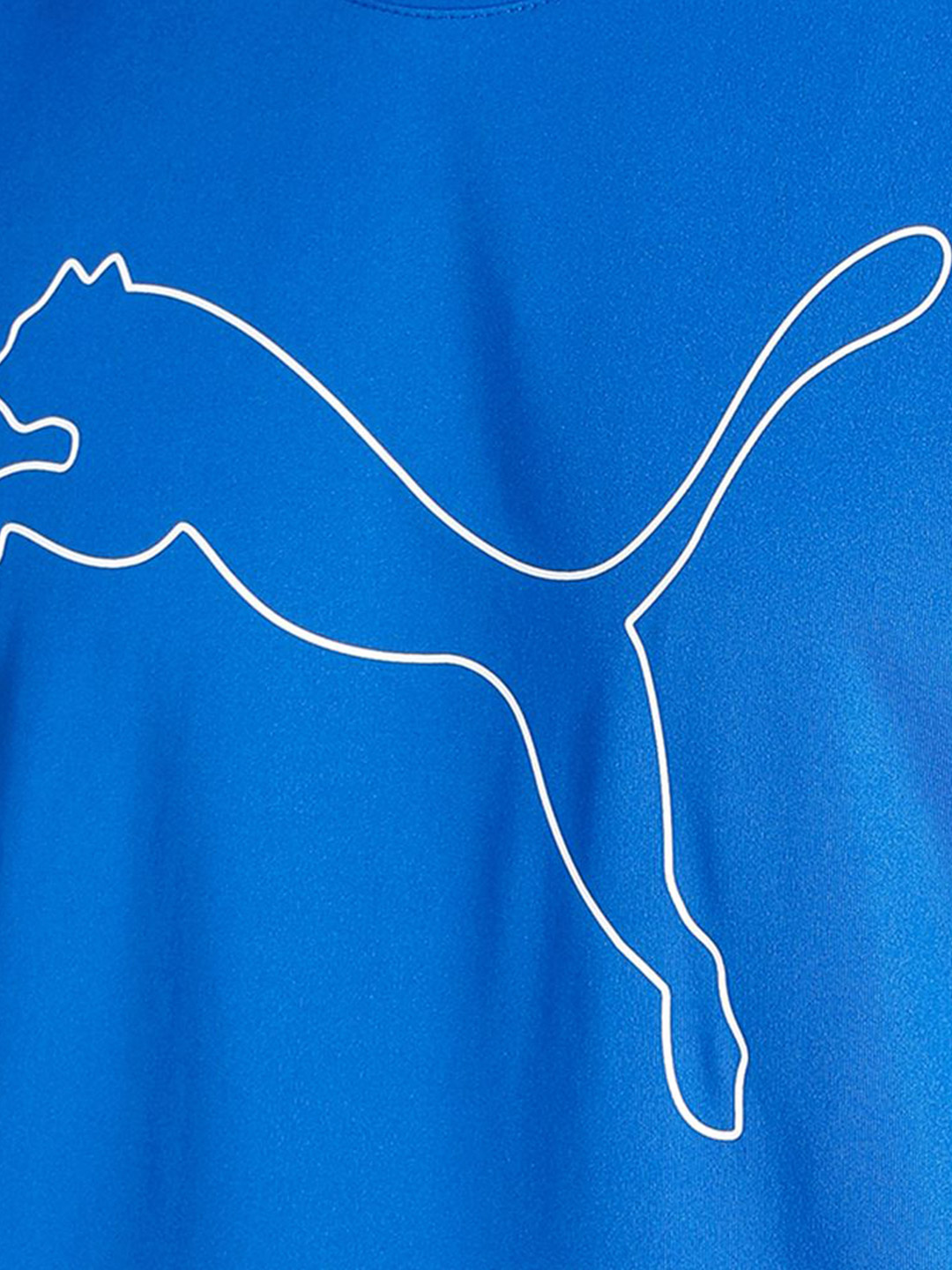 Puma Men PUMA Team Royal Printed PERFORMANCE CAT T-Shirt (4)
