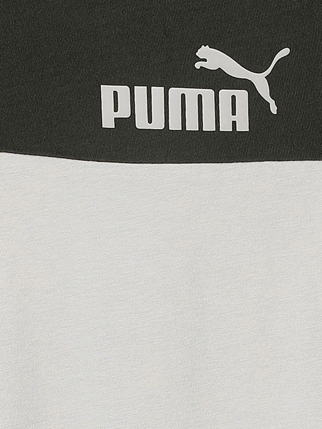 Puma Men Putty Printed Essentials+ Block T-shirt (6)