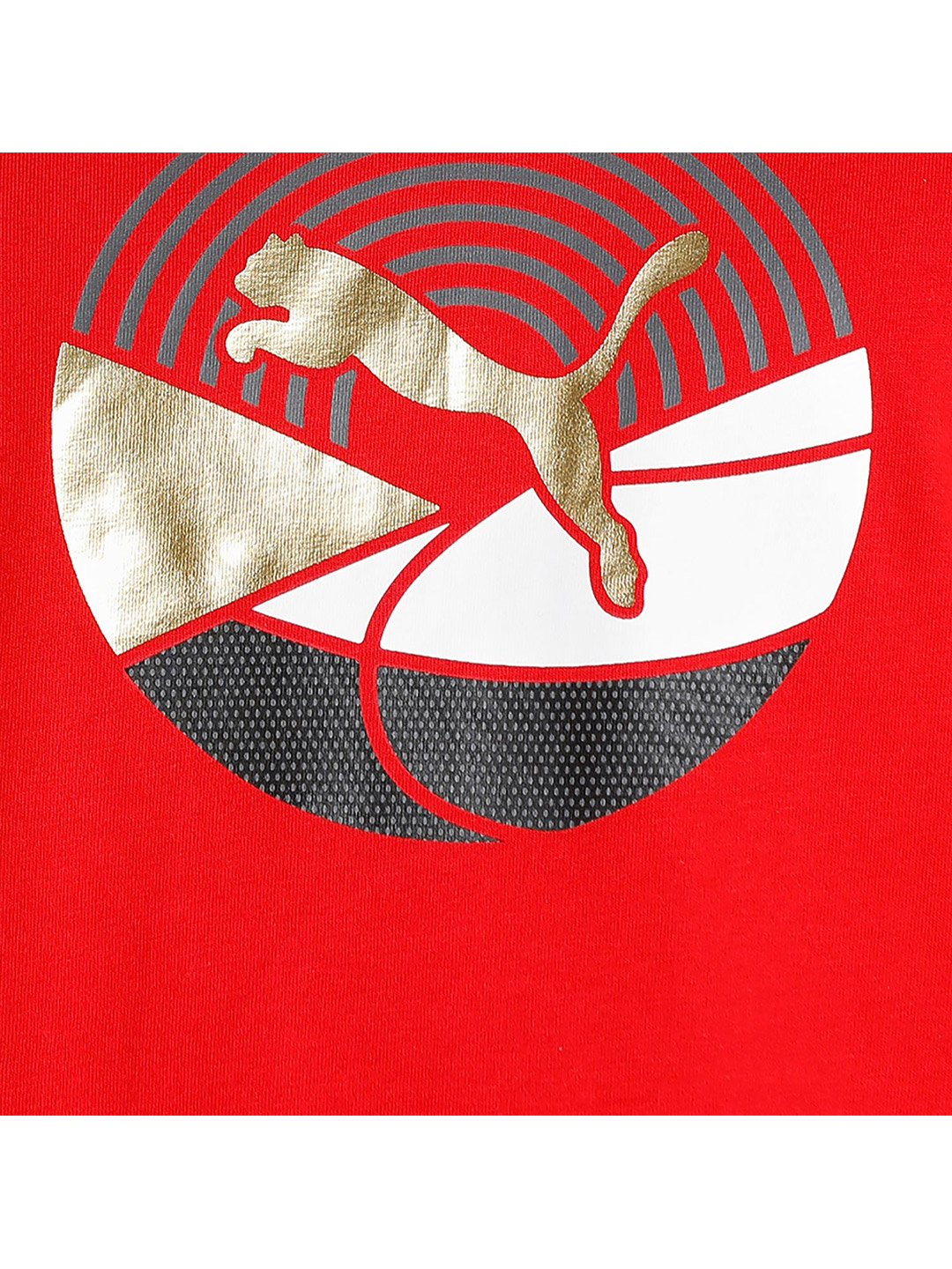 Puma Men Red Printed As Graphic T-Shirts (6)