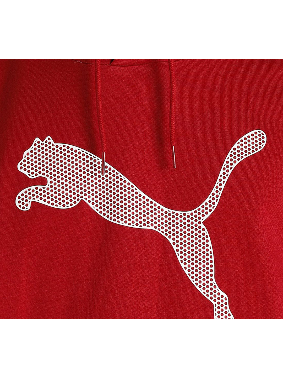 Puma Men Rhubarb Printed PUMA Hoodie (6)