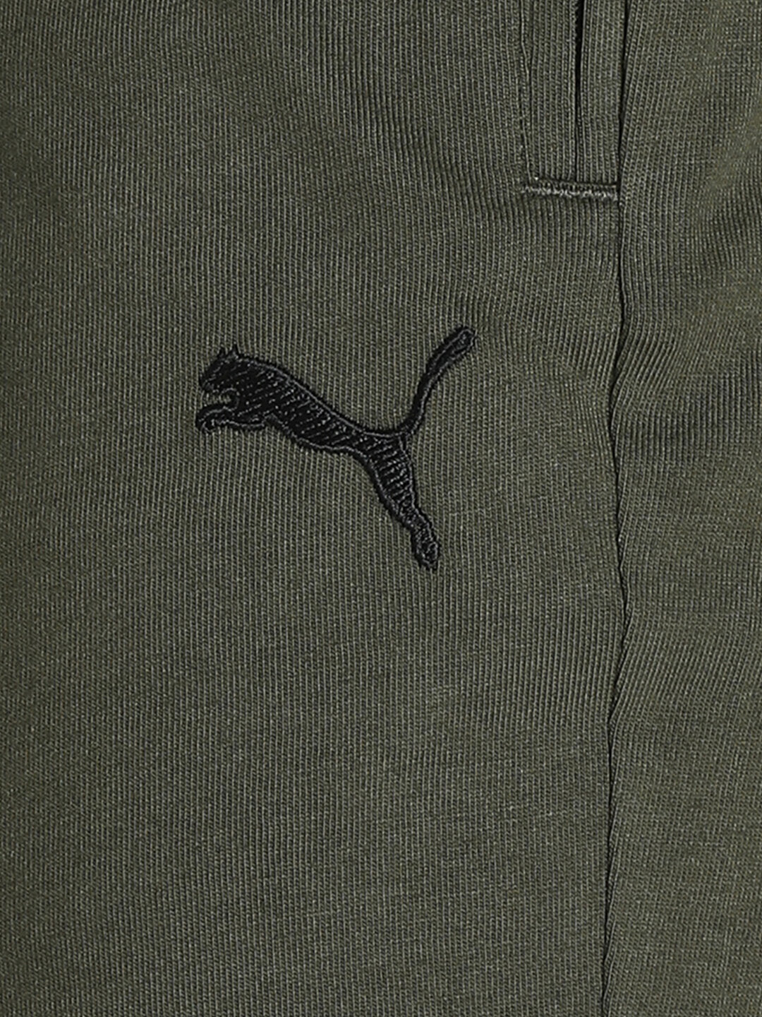 Puma Puma Zippered Jersey Shorts Forest Night (6)