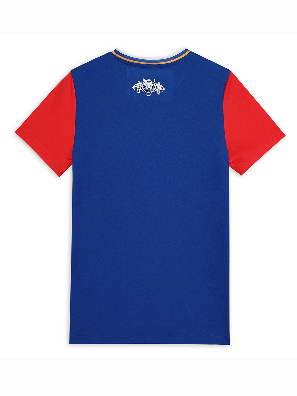 Puma X DC Kids Official Polyester Fan Jersey 2024 (2)
