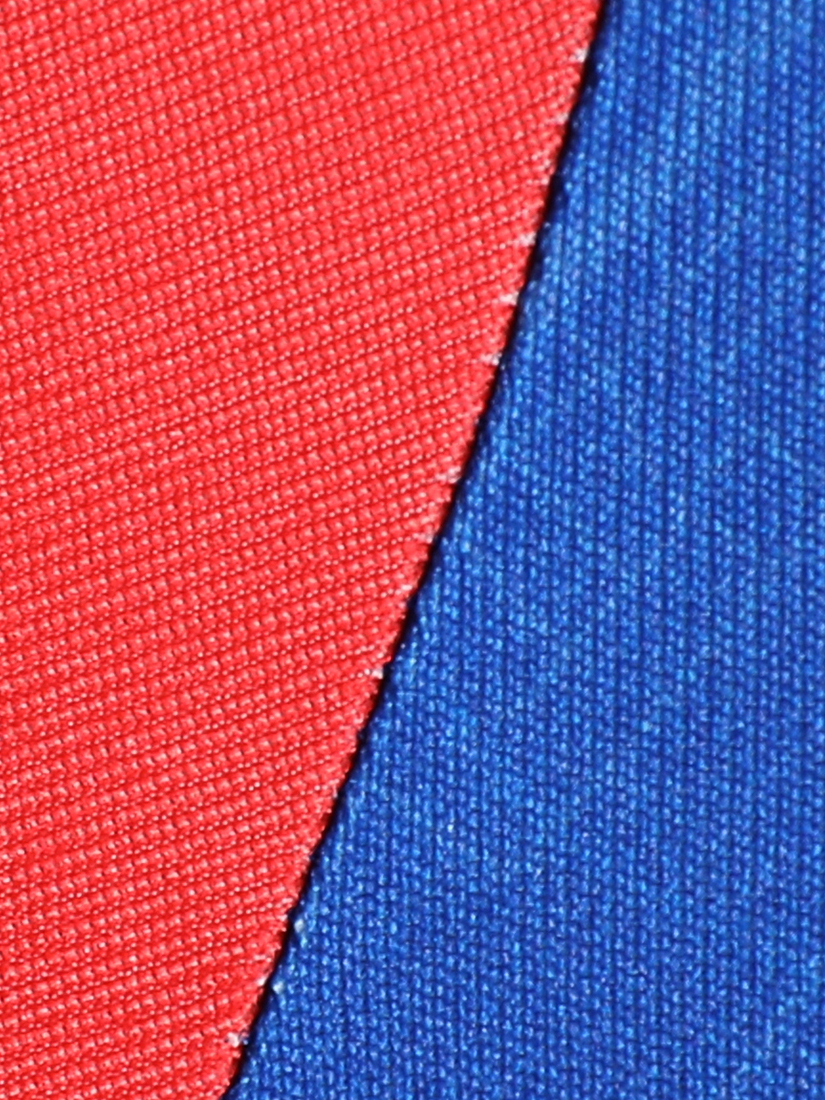 Puma X DC Men Official Match Jersey 2024 (8)