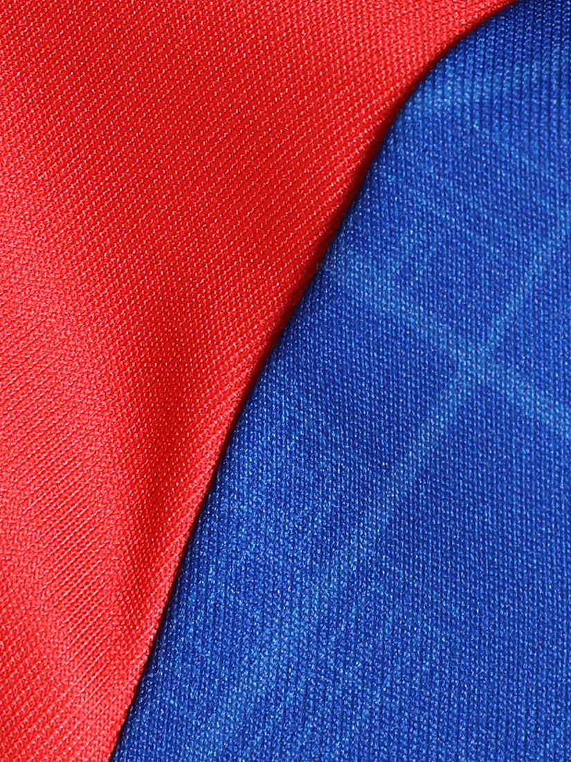 Puma X DC Men Official Replica Jersey 2024 (6)