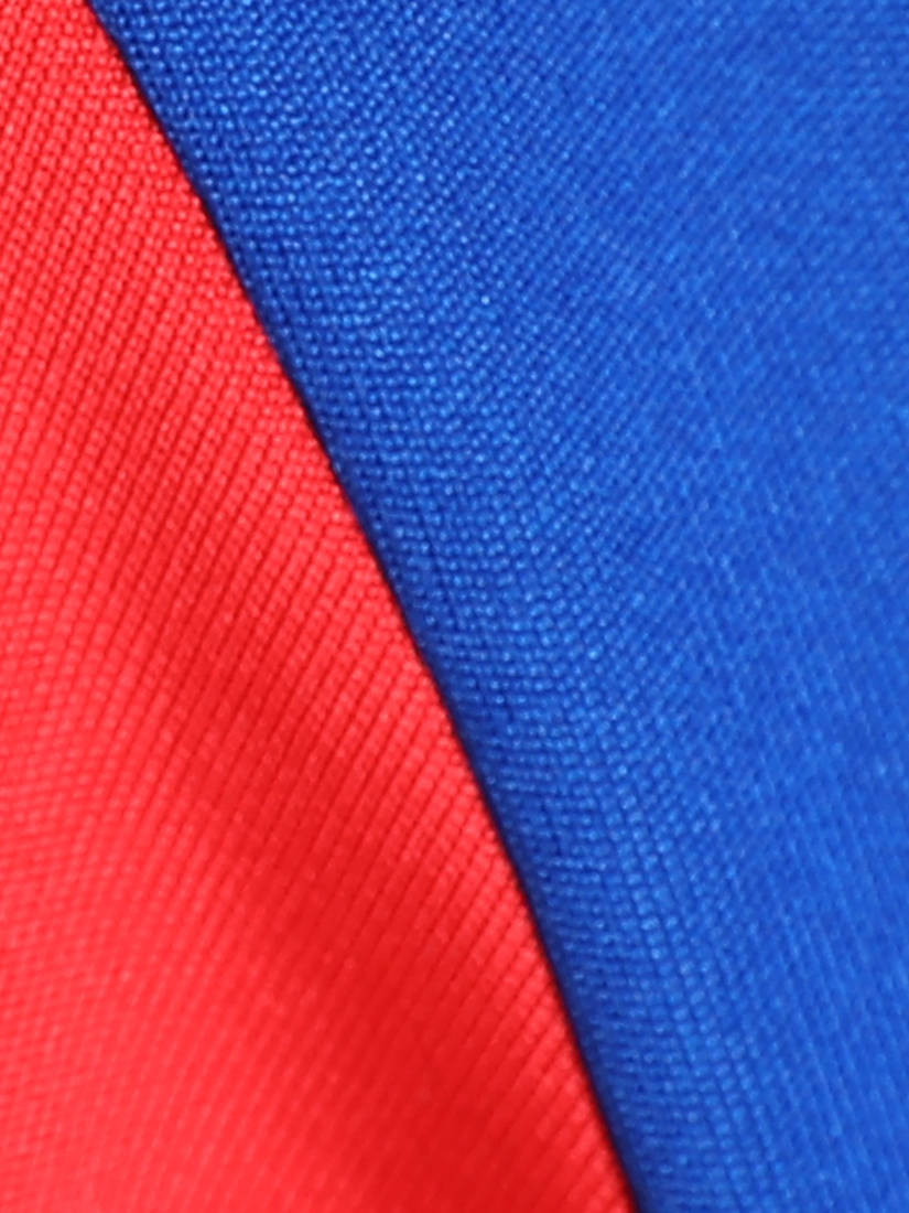 Puma X DC Women Blue and Red Logo Printed Half Sleeves V-Neck Polyester Takedown Fan Jersey (7)