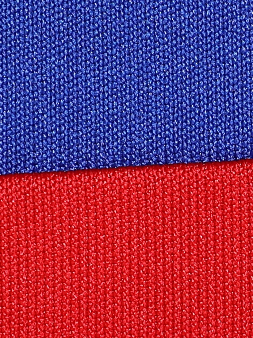 Puma X RCB Men Official Fan Jersey 2024 (7)