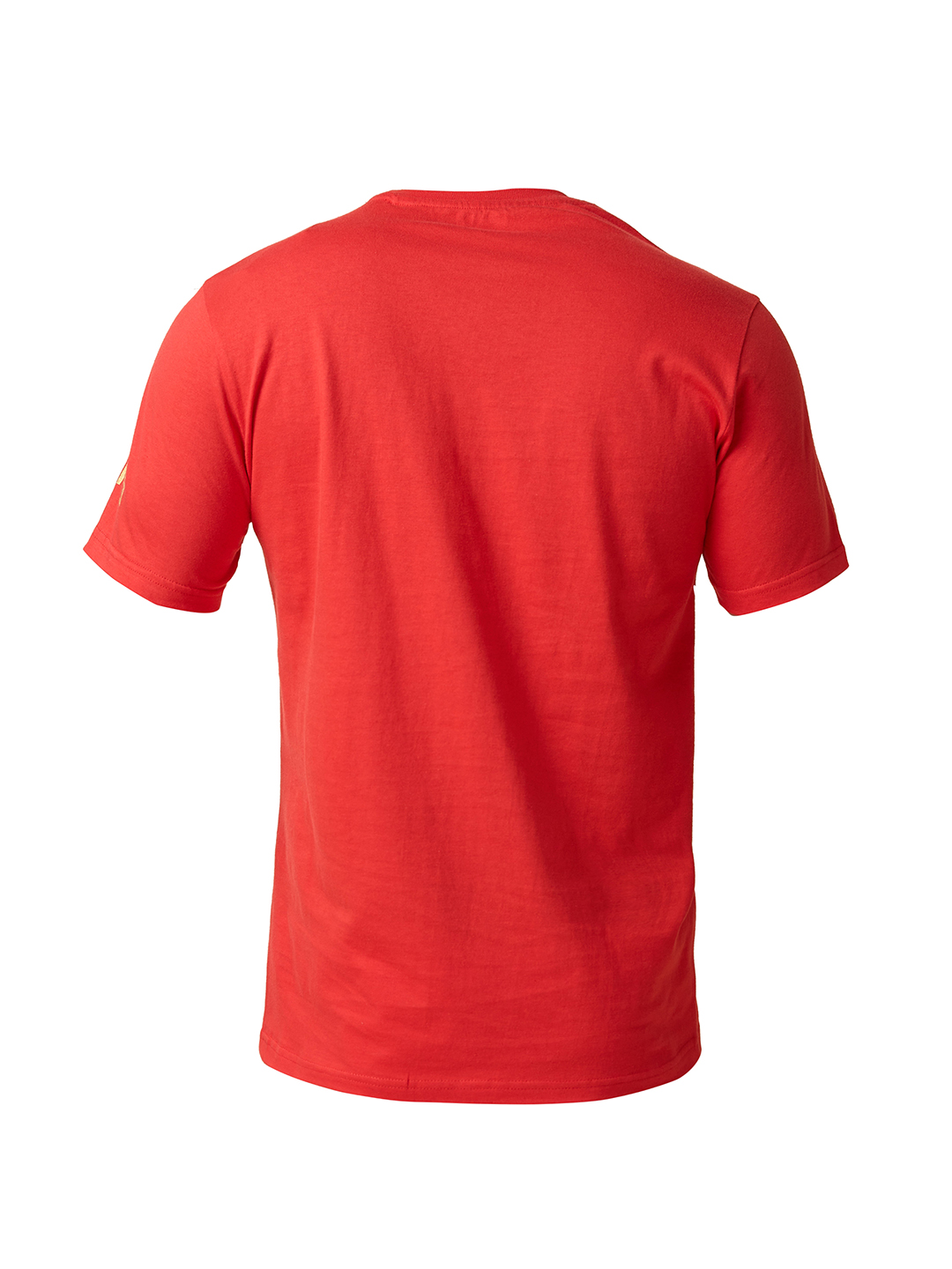 Punjab Kings Unisex Red Graphic Printed Half Sleeves Round Neck Cotton T-Shirt (11)