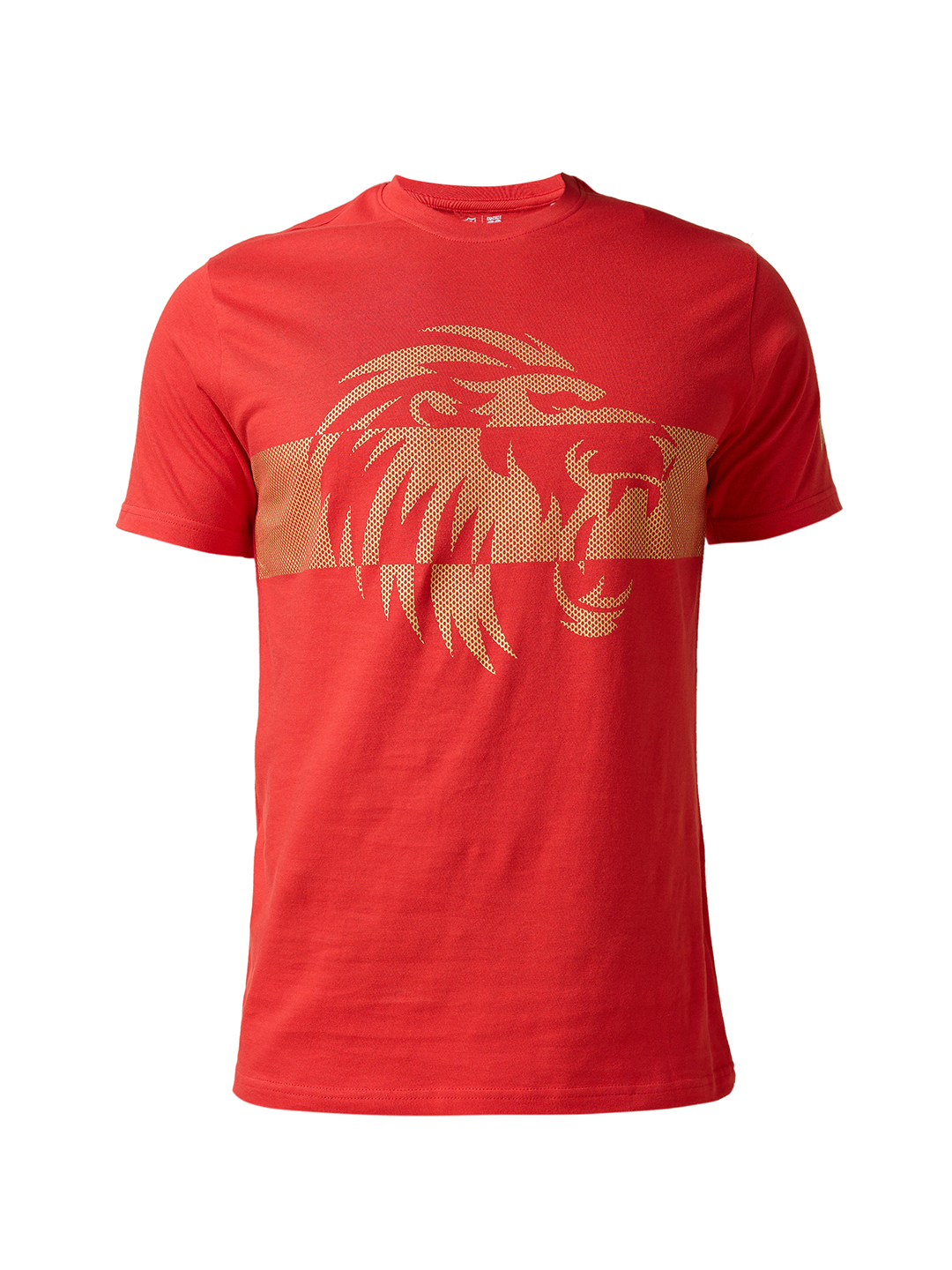Punjab Kings Unisex Red Graphic Printed Half Sleeves Round Neck Cotton T-Shirt (10)