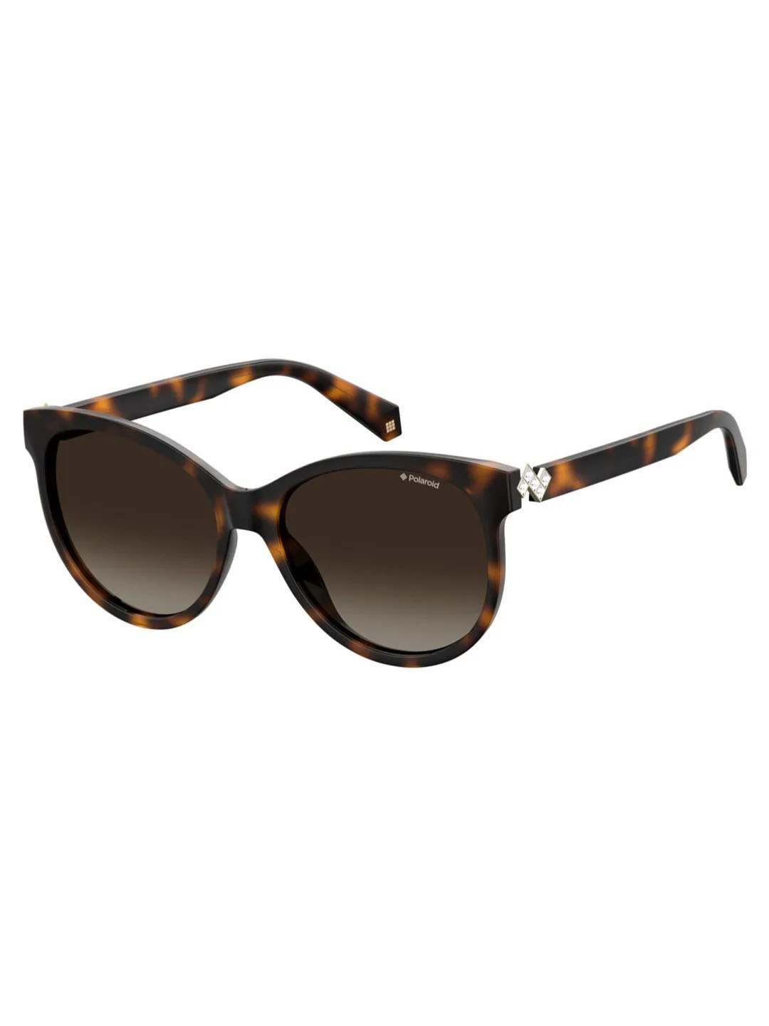Punjab Kings Punjab Kings Havana Pld 4079/S/X Woman Sunglasses