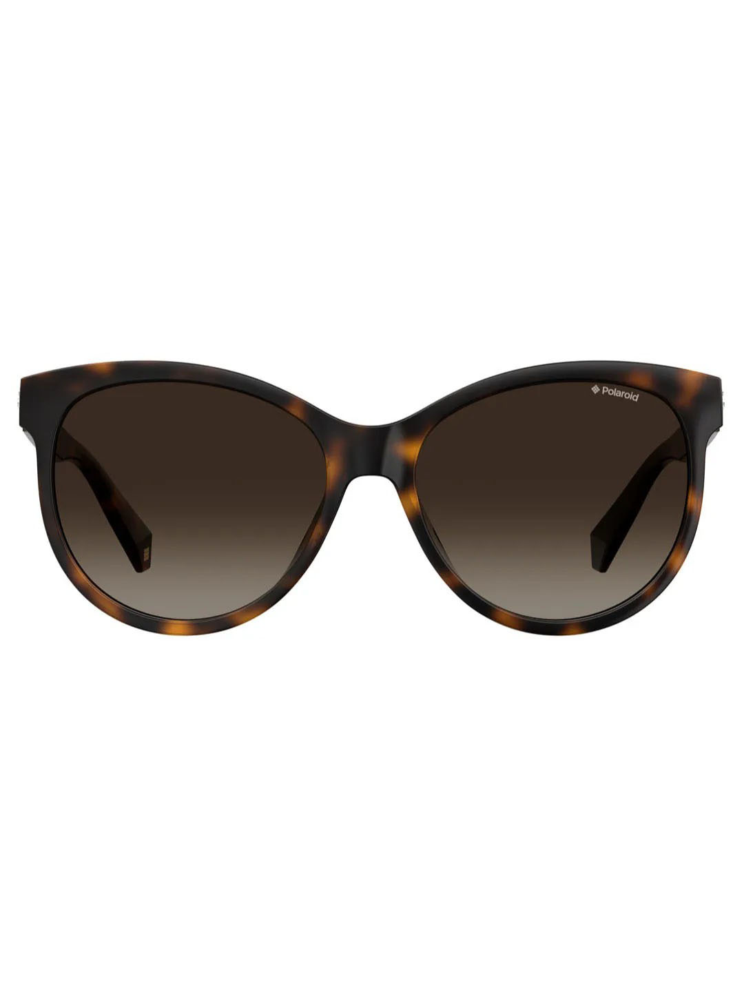Punjab Kings Punjab Kings Havana Pld 4079/S/X Woman Sunglasses (3)
