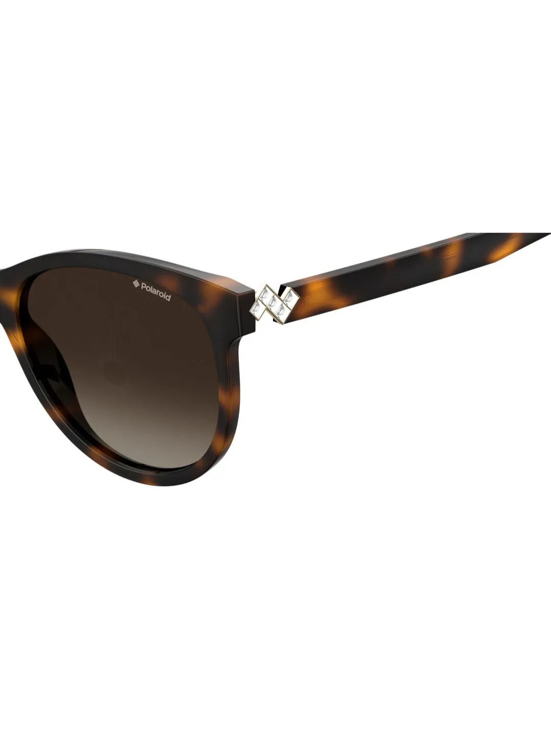 Punjab Kings Punjab Kings Havana Pld 4079/S/X Woman Sunglasses (4)