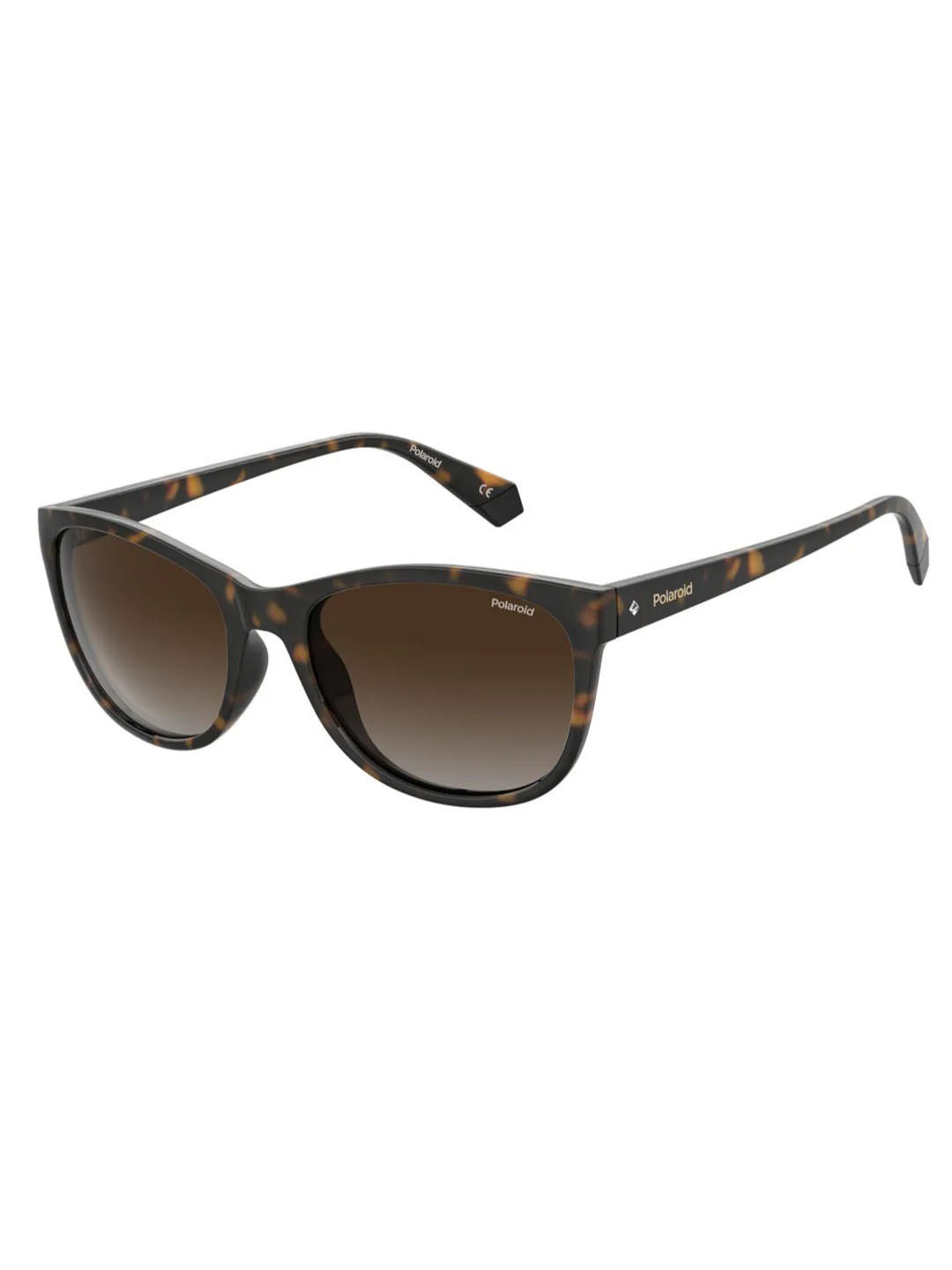 Punjab Kings Punjab Kings Havana Pld 4099/S Woman Sunglasses (1)