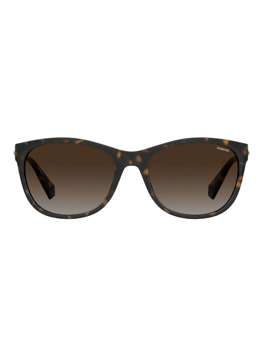 Punjab Kings Punjab Kings Havana Pld 4099/S Woman Sunglasses (4)