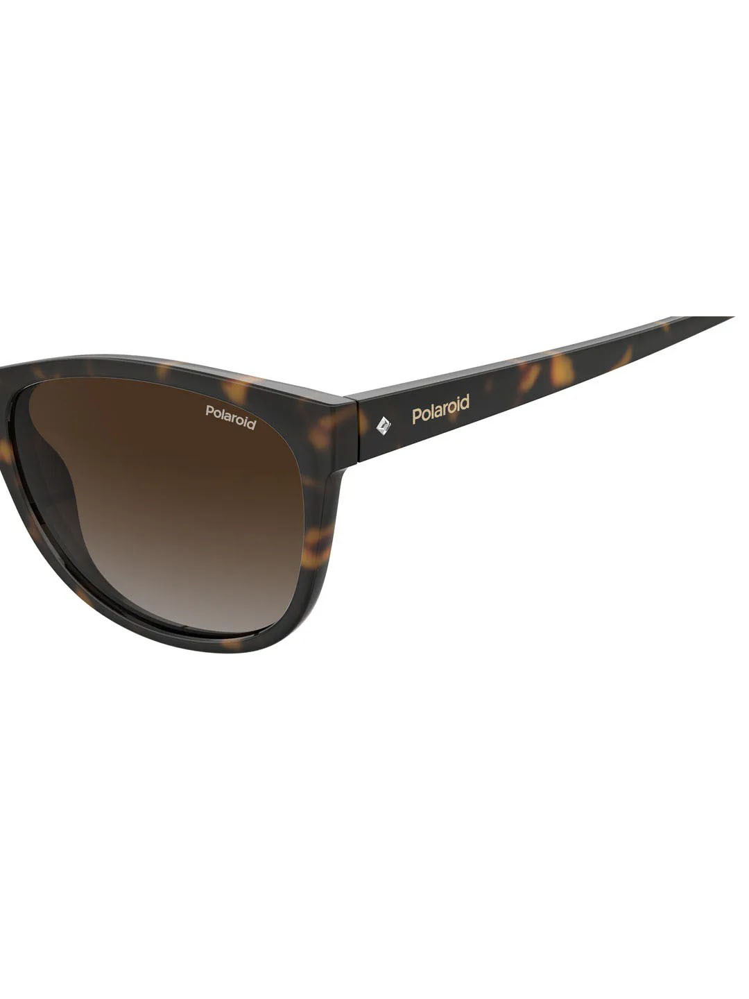 Punjab Kings Punjab Kings Havana Pld 4099/S Woman Sunglasses (5)