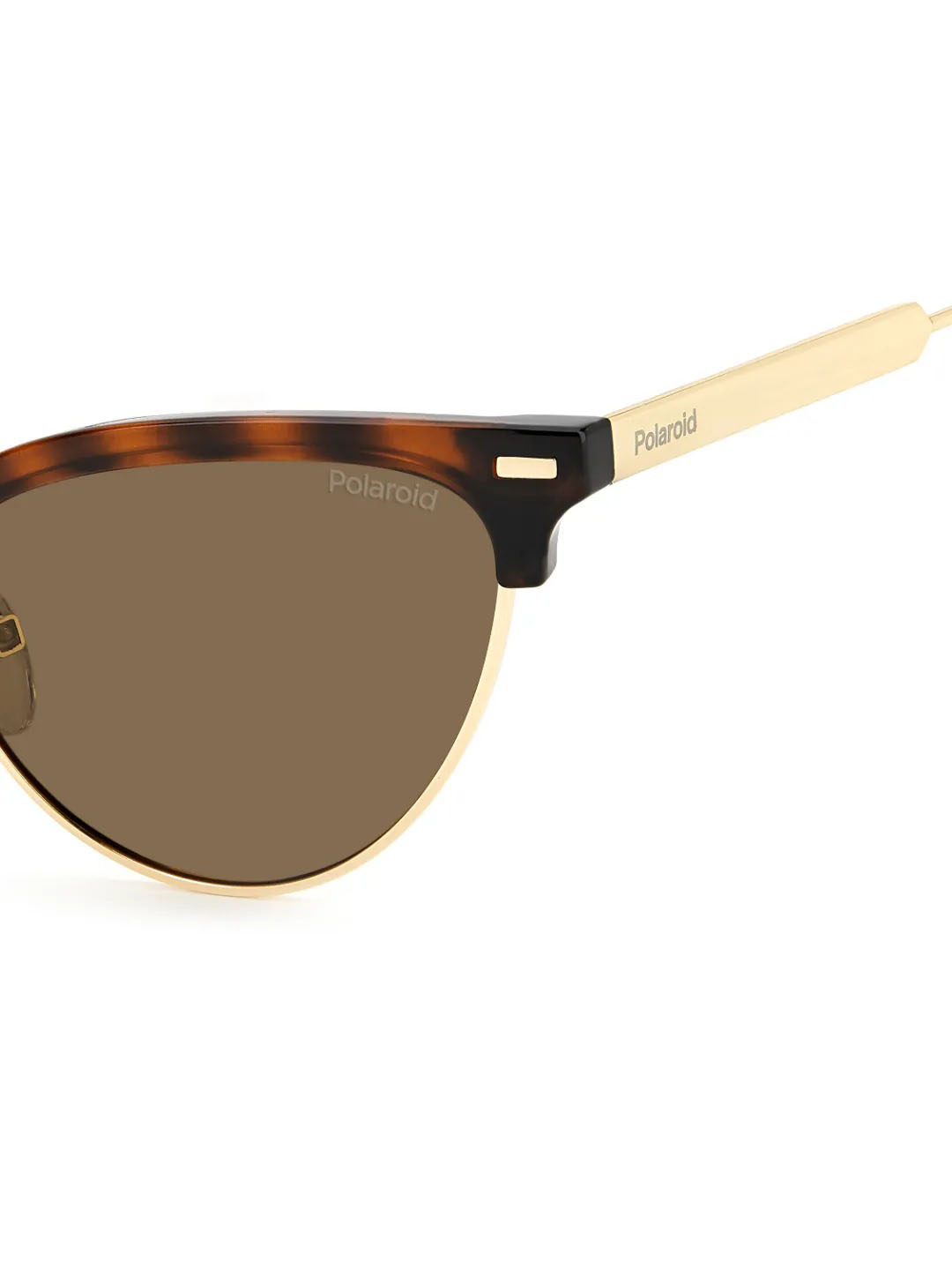 Punjab Kings Punjab Kings Havana Pld 4122/S Woman Sunglasses (6)