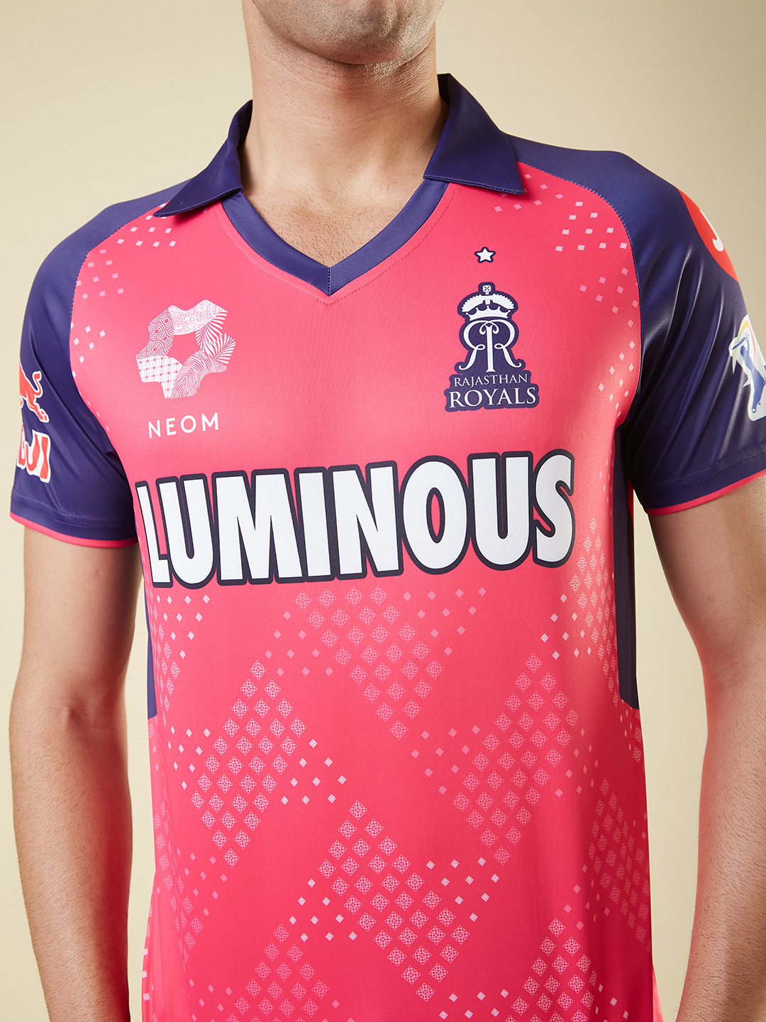 Rajasthan Royals Official Fan Jersey 2025 (2)