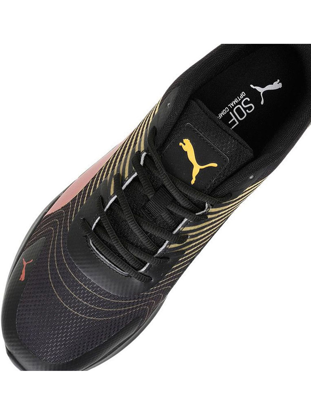Royal Challengers Bangalore Royal Challengers Bangalore Puma x RCB Champions Chilli Oil Sports Shoes (7)