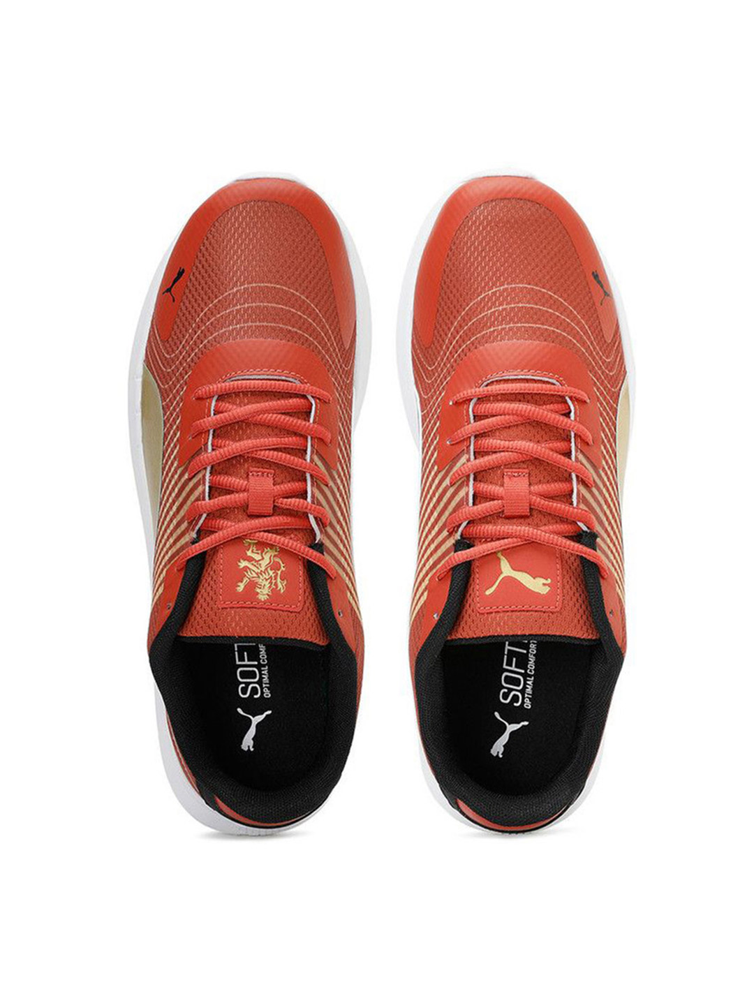 Royal Challengers Bangalore Royal Challengers Bangalore Puma x RCB Champions White Sports Shoes (3)