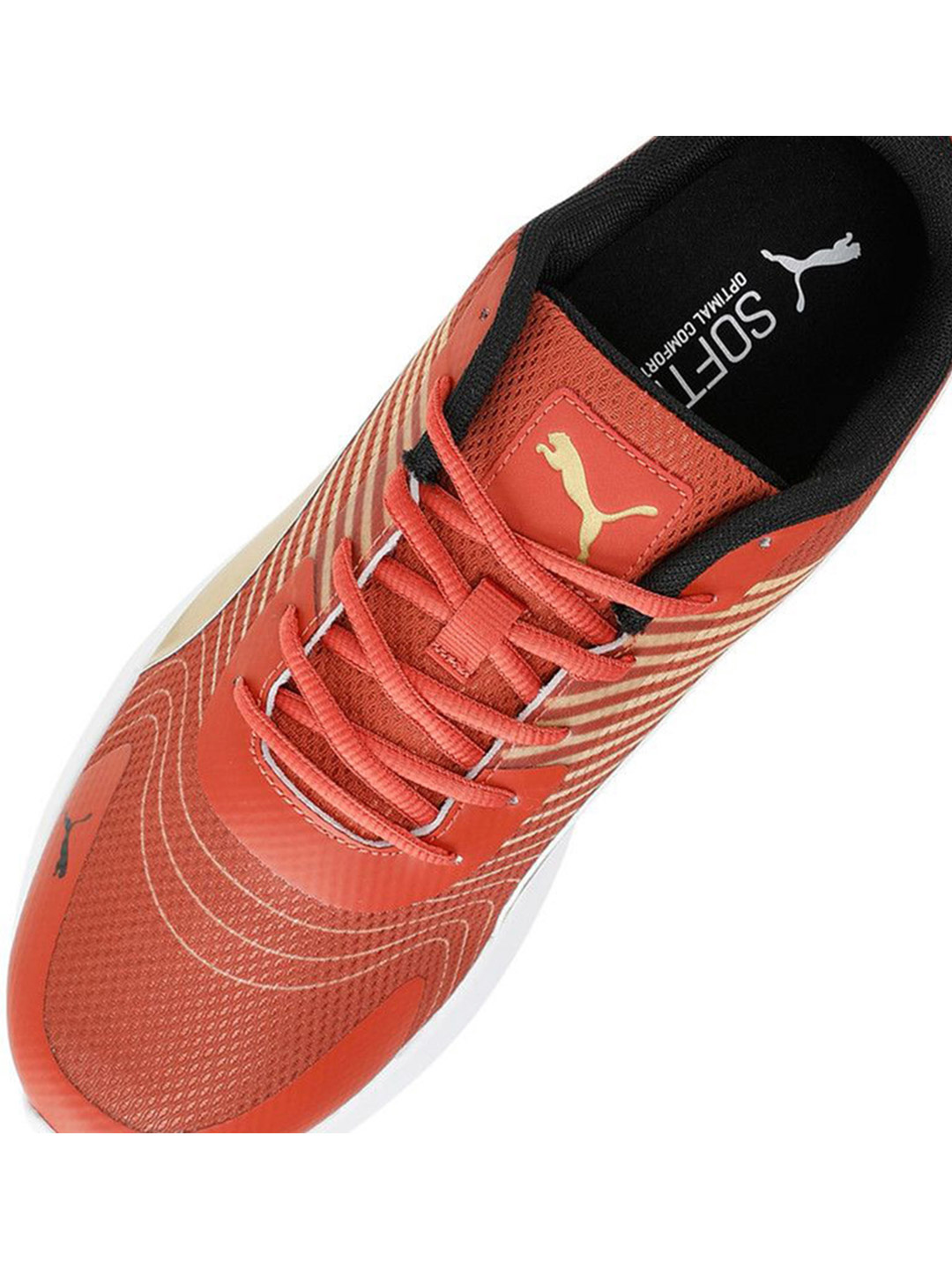 Royal Challengers Bangalore Royal Challengers Bangalore Puma x RCB Champions White Sports Shoes (7)