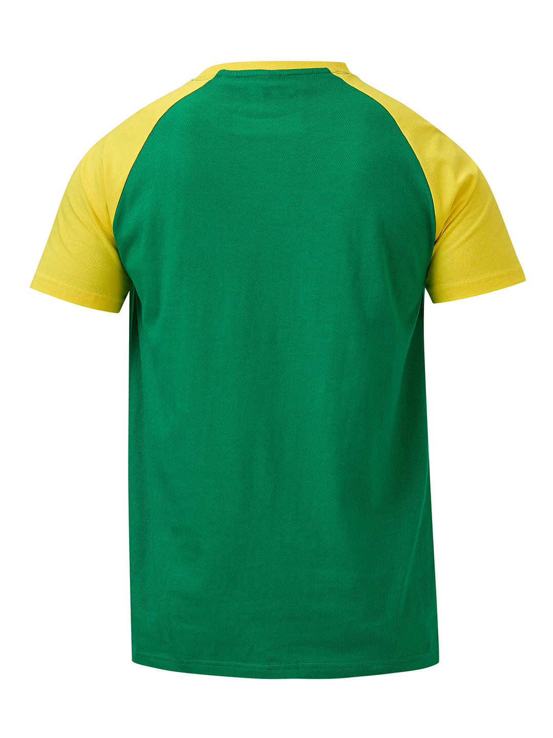 South Africa ICC Champions Trophy 2025 Men Green and Yellow Colorblocked Typography Half Sleeves Round Neck Cotton T-Shi (7)